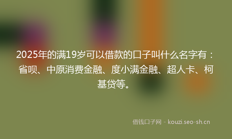 2025年的满19岁可以借款的口子叫什么名字有：省呗、中原消费金融、度小满金融、超人卡、柯基贷等。