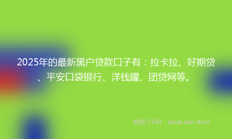 2025年的最新黑户贷款口子有：拉卡拉、好期贷、平安口袋银行、洋钱罐、团贷网等。