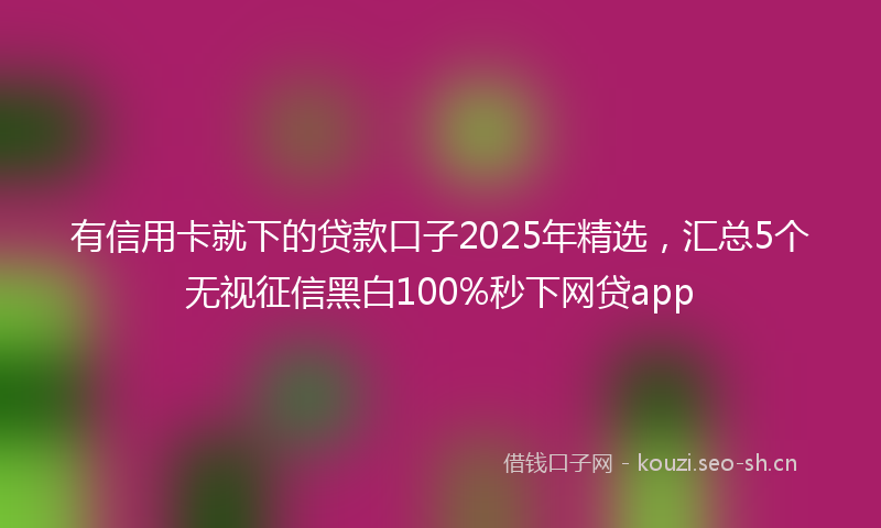 有信用卡就下的贷款口子2025年精选，汇总5个无视征信黑白100%秒下网贷app