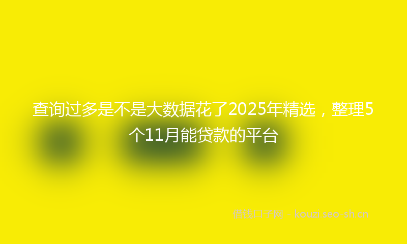 查询过多是不是大数据花了2025年精选，整理5个11月能贷款的平台