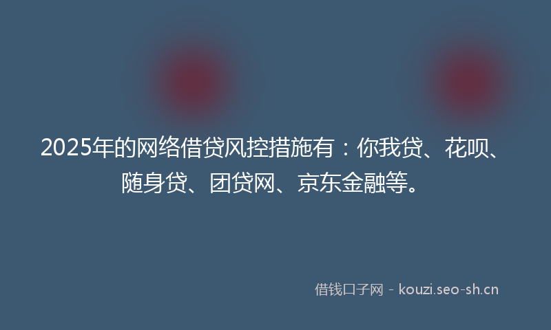 2025年的网络借贷风控措施有：你我贷、花呗、随身贷、团贷网、京东金融等。