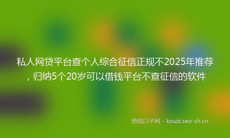 私人网贷平台查个人综合征信正规不2025年推荐，归纳5个20岁可以借钱平台不查征信的软件