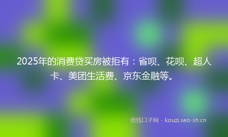 2025年的消费贷买房被拒有：省呗、花呗、超人卡、美团生活费、京东金融等。