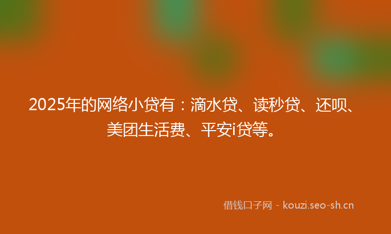 2025年的网络小贷有：滴水贷、读秒贷、还呗、美团生活费、平安i贷等。