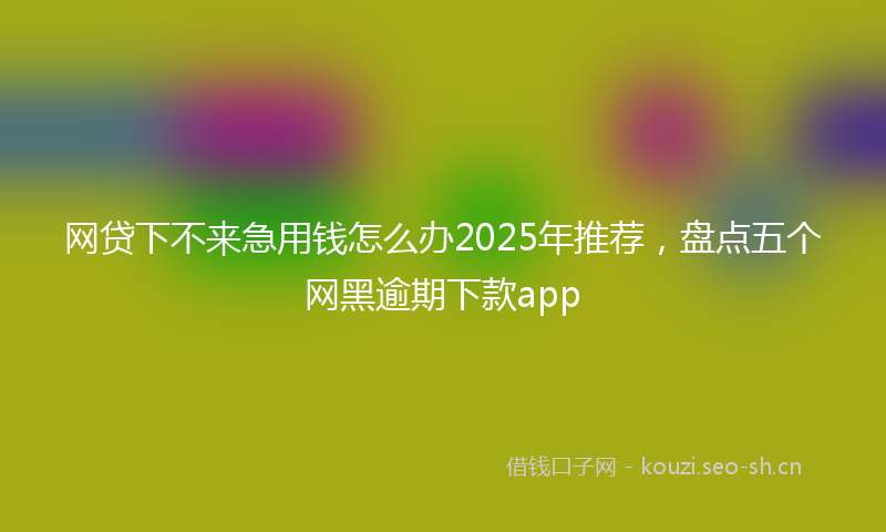 网贷下不来急用钱怎么办2025年推荐，盘点五个网黑逾期下款app