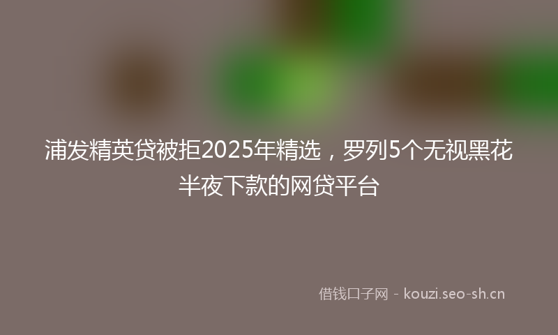 浦发精英贷被拒2025年精选，罗列5个无视黑花半夜下款的网贷平台
