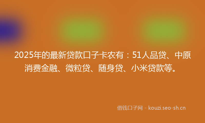 2025年的最新贷款口子卡农有：51人品贷、中原消费金融、微粒贷、随身贷、小米贷款等。