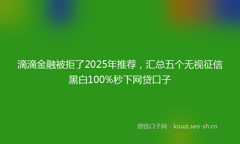 滴滴金融被拒了2025年推荐，汇总五个无视征信黑白100%秒下网贷口子