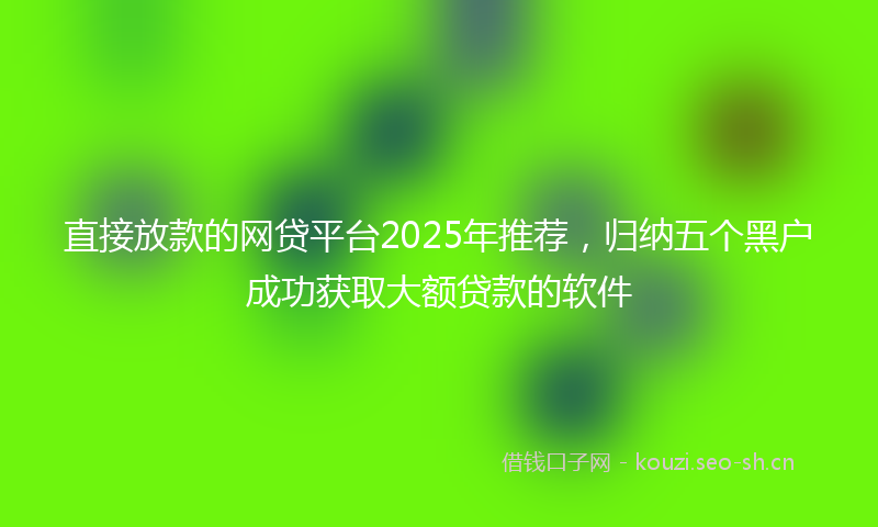 直接放款的网贷平台2025年推荐，归纳五个黑户成功获取大额贷款的软件