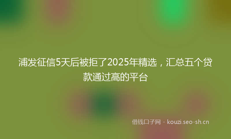 浦发征信5天后被拒了2025年精选，汇总五个贷款通过高的平台