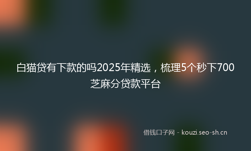 白猫贷有下款的吗2025年精选，梳理5个秒下700芝麻分贷款平台