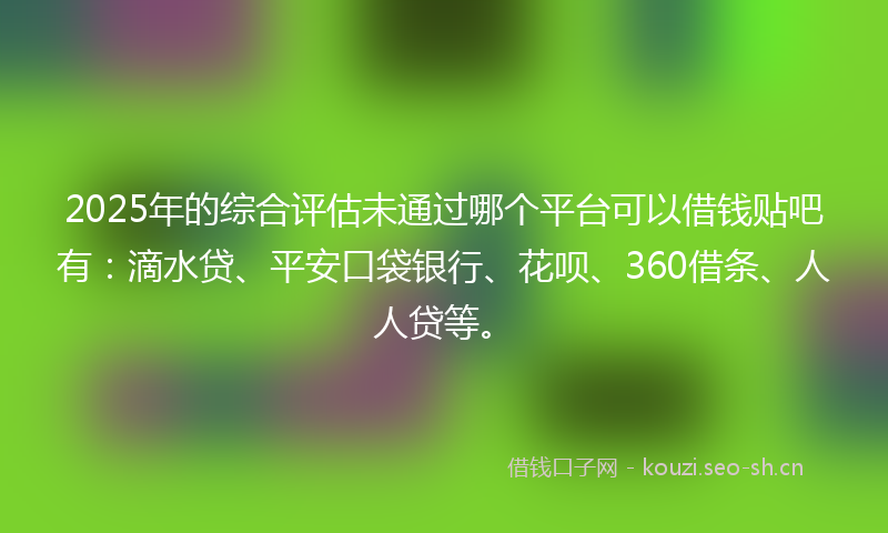 2025年的综合评估未通过哪个平台可以借钱贴吧有：滴水贷、平安口袋银行、花呗、360借条、人人贷等。