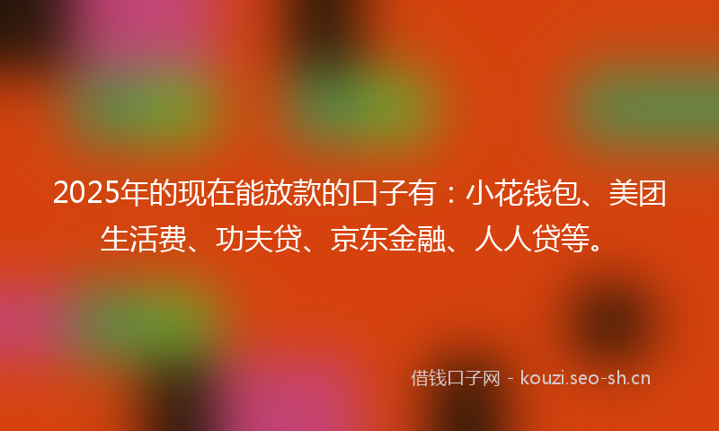 2025年的现在能放款的口子有：小花钱包、美团生活费、功夫贷、京东金融、人人贷等。