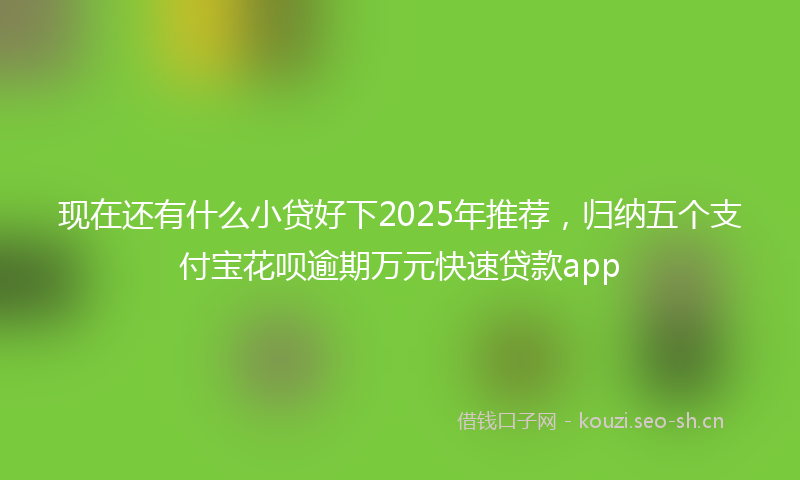 现在还有什么小贷好下2025年推荐，归纳五个支付宝花呗逾期万元快速贷款app