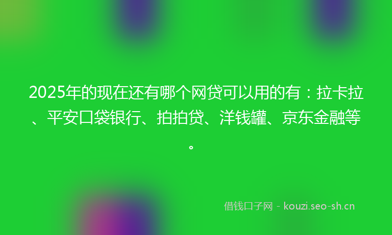 2025年的现在还有哪个网贷可以用的有：拉卡拉、平安口袋银行、拍拍贷、洋钱罐、京东金融等。