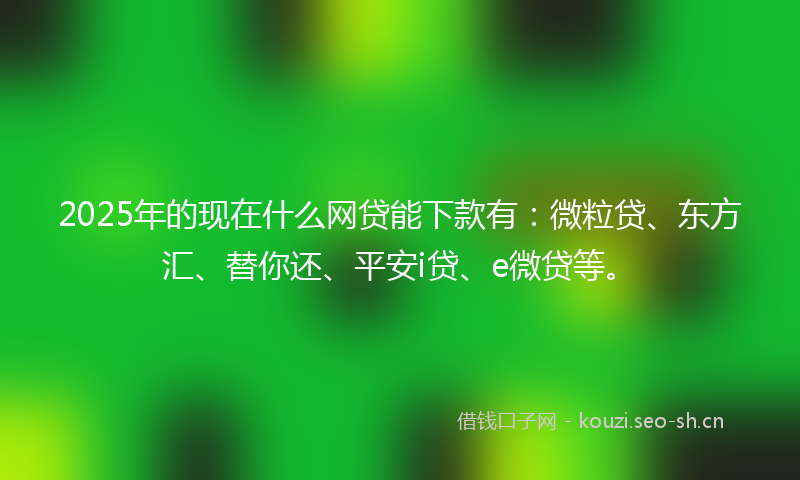 2025年的现在什么网贷能下款有：微粒贷、东方汇、替你还、平安i贷、e微贷等。