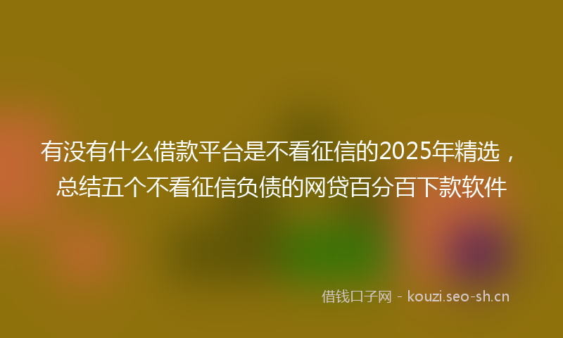 有没有什么借款平台是不看征信的2025年精选，总结五个不看征信负债的网贷百分百下款软件