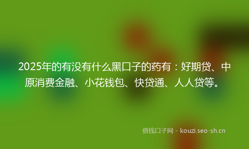 2025年的有没有什么黑口子的药有：好期贷、中原消费金融、小花钱包、快贷通、人人贷等。