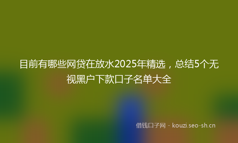 目前有哪些网贷在放水2025年精选，总结5个无视黑户下款口子名单大全