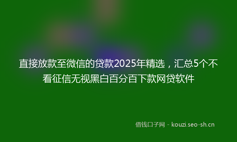 直接放款至微信的贷款2025年精选，汇总5个不看征信无视黑白百分百下款网贷软件