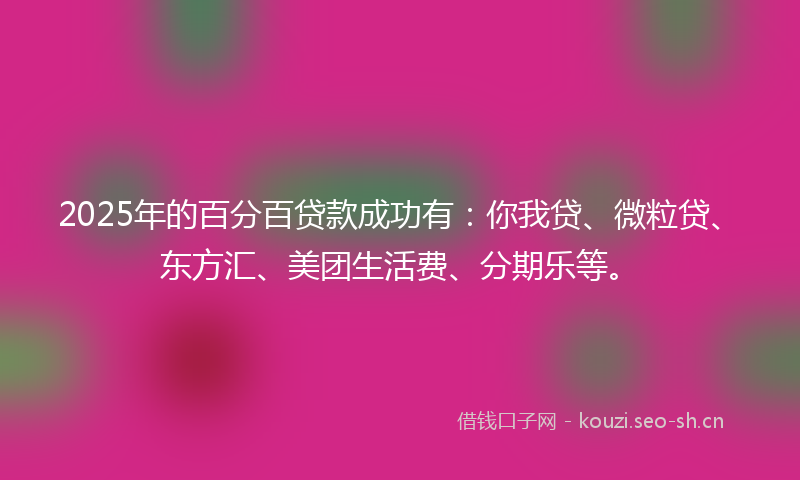 2025年的百分百贷款成功有：你我贷、微粒贷、东方汇、美团生活费、分期乐等。