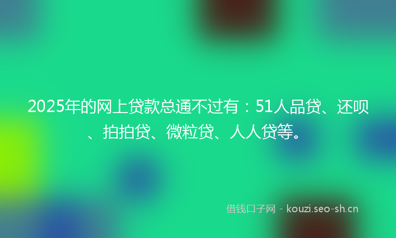 2025年的网上贷款总通不过有：51人品贷、还呗、拍拍贷、微粒贷、人人贷等。