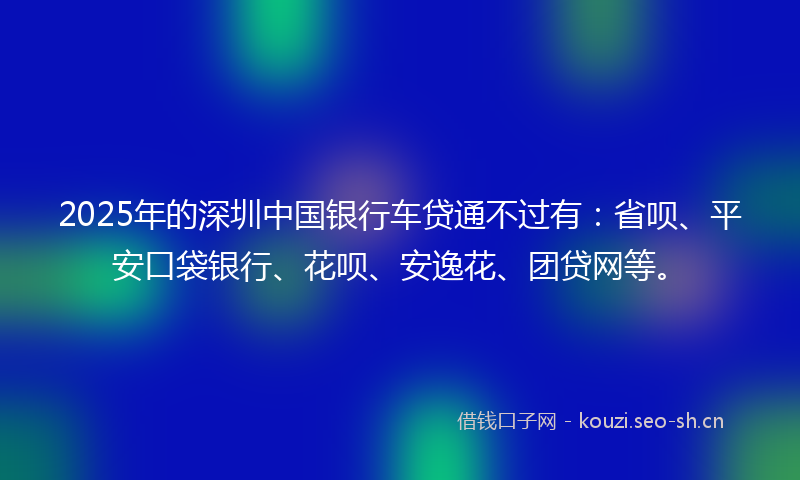 2025年的深圳中国银行车贷通不过有：省呗、平安口袋银行、花呗、安逸花、团贷网等。