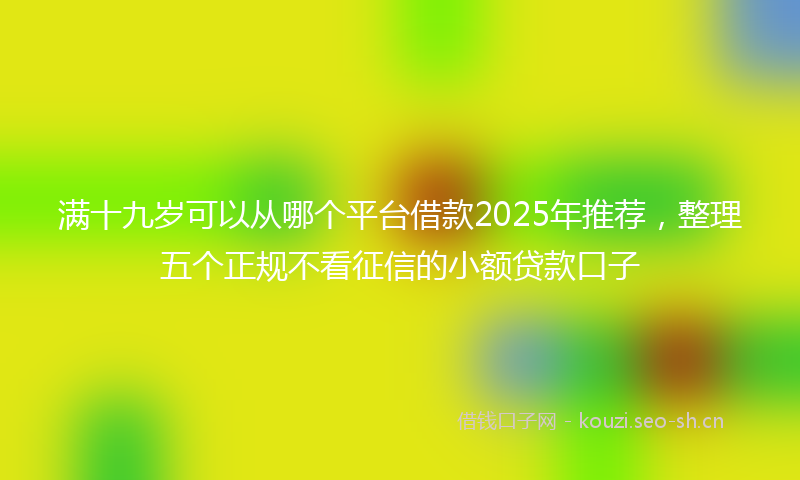 满十九岁可以从哪个平台借款2025年推荐，整理五个正规不看征信的小额贷款口子