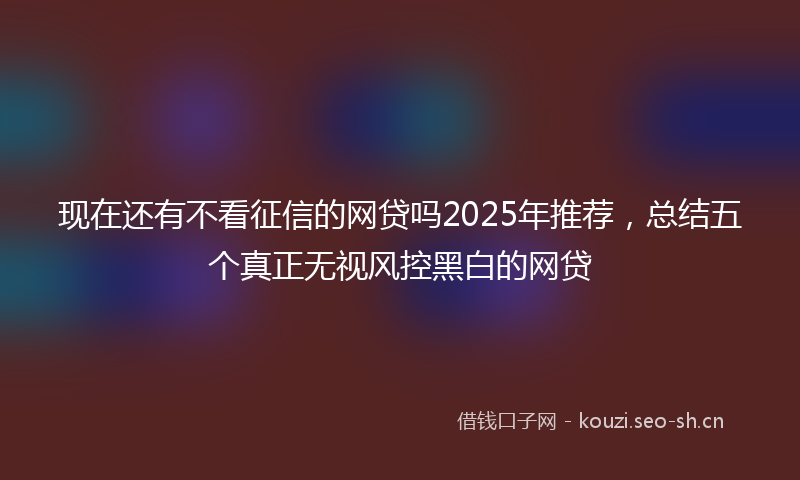 现在还有不看征信的网贷吗2025年推荐，总结五个真正无视风控黑白的网贷