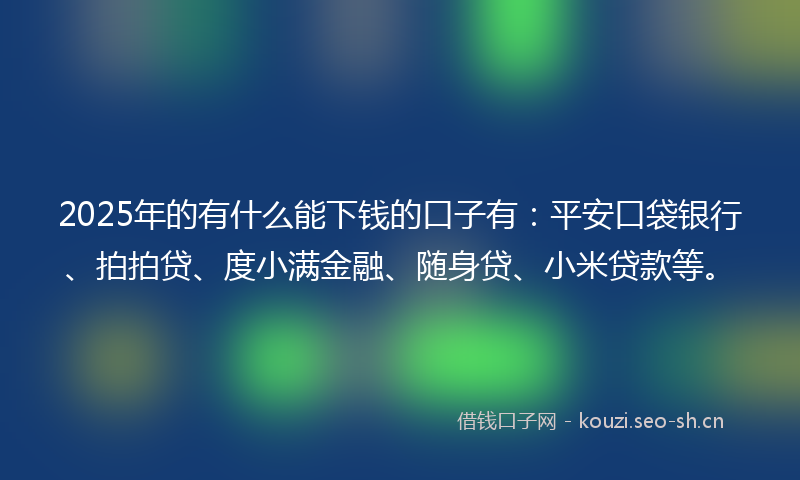 2025年的有什么能下钱的口子有：平安口袋银行、拍拍贷、度小满金融、随身贷、小米贷款等。