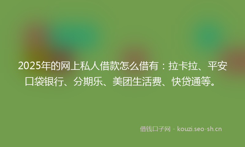 2025年的网上私人借款怎么借有：拉卡拉、平安口袋银行、分期乐、美团生活费、快贷通等。