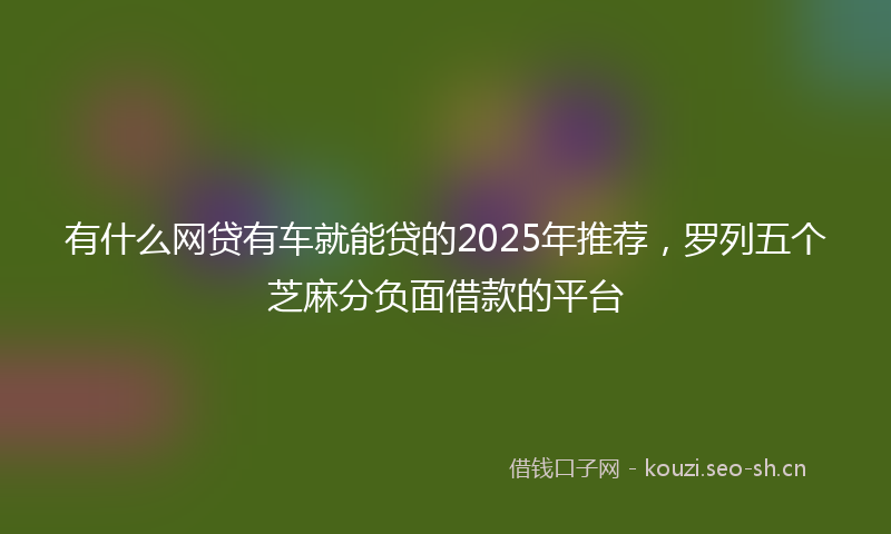 有什么网贷有车就能贷的2025年推荐，罗列五个芝麻分负面借款的平台
