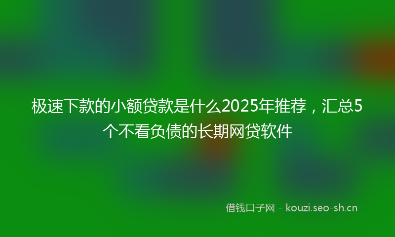 极速下款的小额贷款是什么2025年推荐，汇总5个不看负债的长期网贷软件