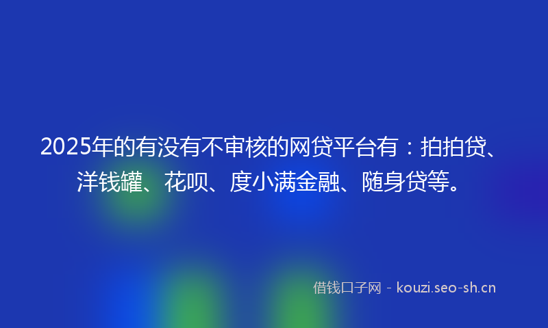 2025年的有没有不审核的网贷平台有：拍拍贷、洋钱罐、花呗、度小满金融、随身贷等。