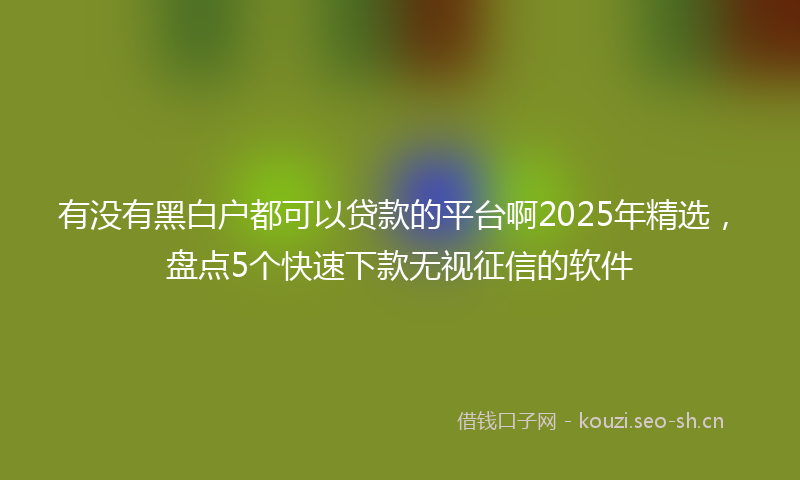 有没有黑白户都可以贷款的平台啊2025年精选，盘点5个快速下款无视征信的软件