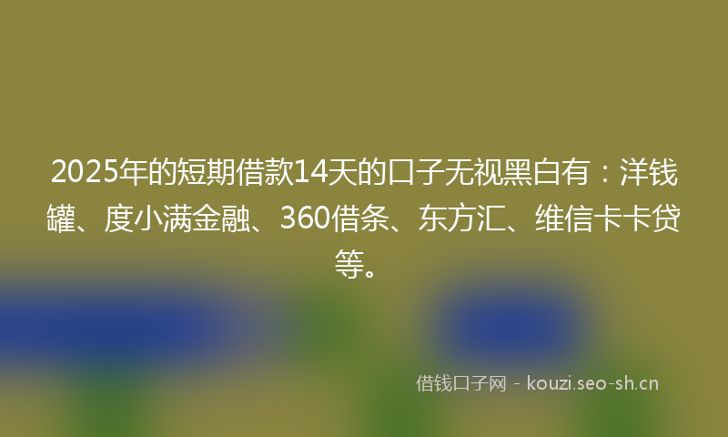2025年的短期借款14天的口子无视黑白有：洋钱罐、度小满金融、360借条、东方汇、维信卡卡贷等。
