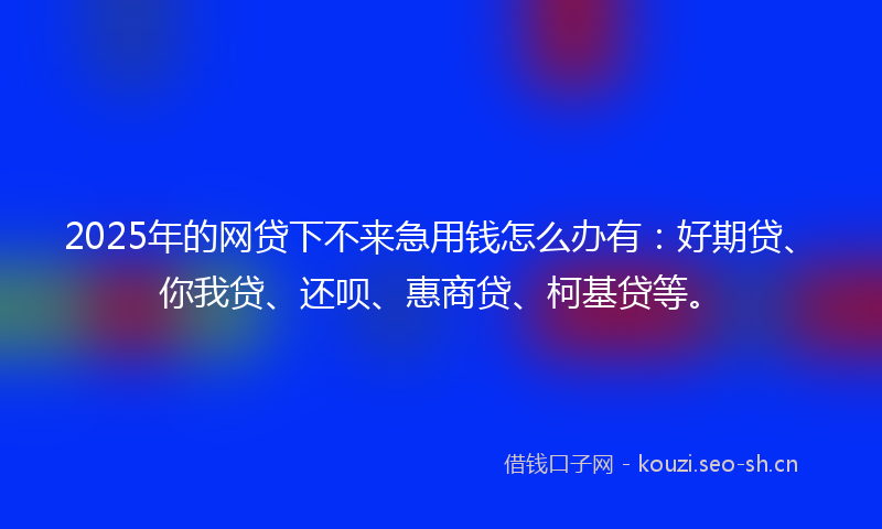 2025年的网贷下不来急用钱怎么办有：好期贷、你我贷、还呗、惠商贷、柯基贷等。