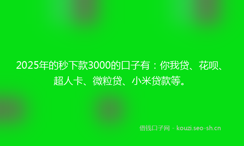 2025年的秒下款3000的口子有：你我贷、花呗、超人卡、微粒贷、小米贷款等。