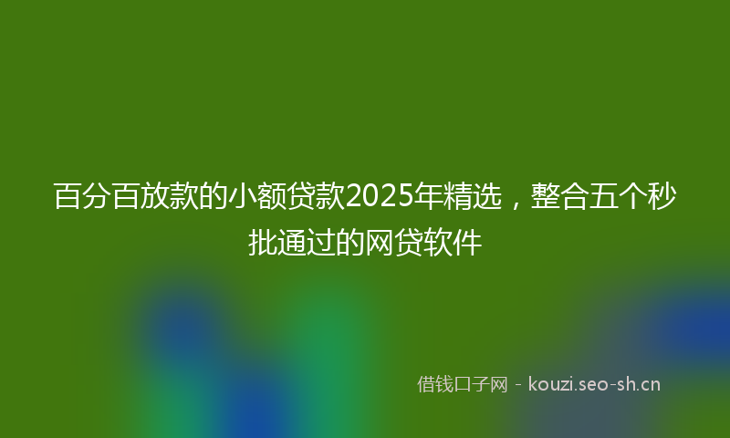 百分百放款的小额贷款2025年精选，整合五个秒批通过的网贷软件