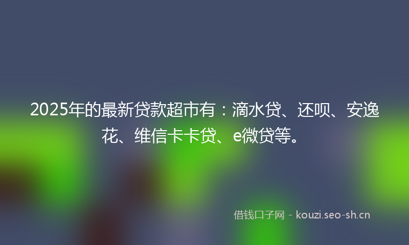 2025年的最新贷款超市有：滴水贷、还呗、安逸花、维信卡卡贷、e微贷等。