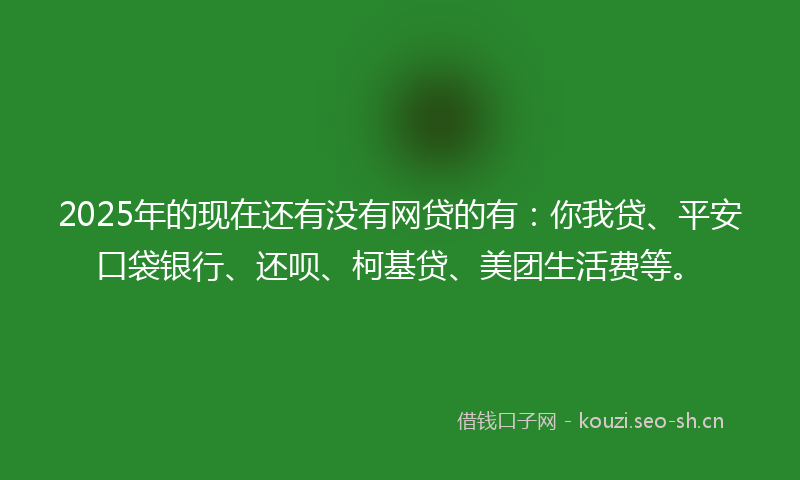 2025年的现在还有没有网贷的有：你我贷、平安口袋银行、还呗、柯基贷、美团生活费等。