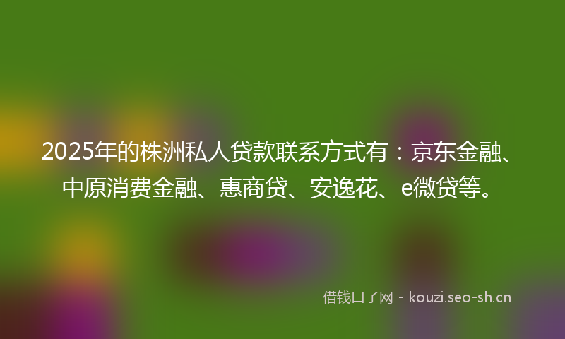 2025年的株洲私人贷款联系方式有：京东金融、中原消费金融、惠商贷、安逸花、e微贷等。