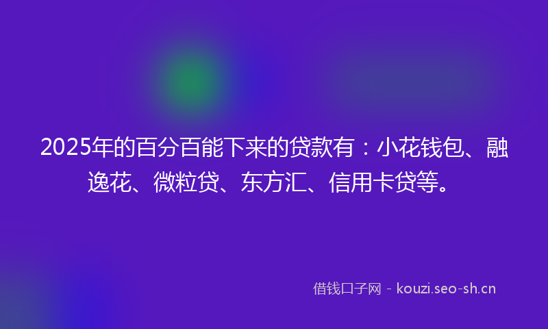 2025年的百分百能下来的贷款有：小花钱包、融逸花、微粒贷、东方汇、信用卡贷等。