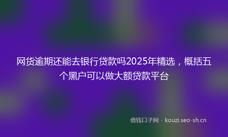 网货逾期还能去银行贷款吗2025年精选，概括五个黑户可以做大额贷款平台
