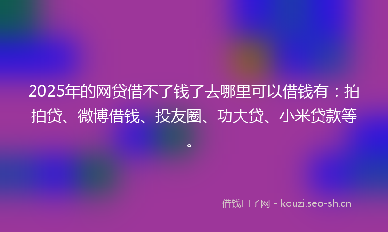 2025年的网贷借不了钱了去哪里可以借钱有：拍拍贷、微博借钱、投友圈、功夫贷、小米贷款等。