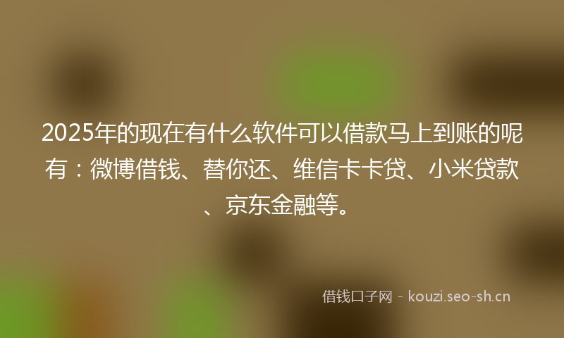 2025年的现在有什么软件可以借款马上到账的呢有：微博借钱、替你还、维信卡卡贷、小米贷款、京东金融等。
