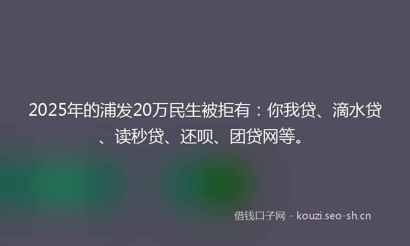 2025年的浦发20万民生被拒有：你我贷、滴水贷、读秒贷、还呗、团贷网等。