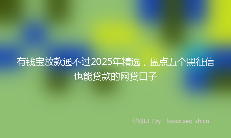 有钱宝放款通不过2025年精选，盘点五个黑征信也能贷款的网贷口子