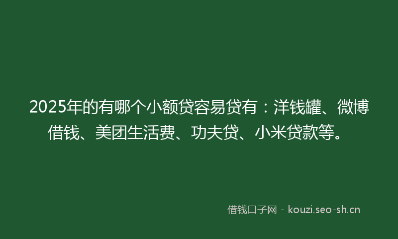 2025年的有哪个小额贷容易贷有：洋钱罐、微博借钱、美团生活费、功夫贷、小米贷款等。