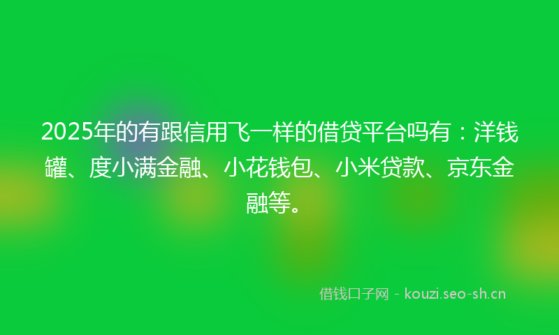 2025年的有跟信用飞一样的借贷平台吗有：洋钱罐、度小满金融、小花钱包、小米贷款、京东金融等。